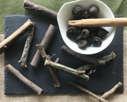 Eucalyptus Twigs and Pods W/Ceylon Cinnamon Stick
